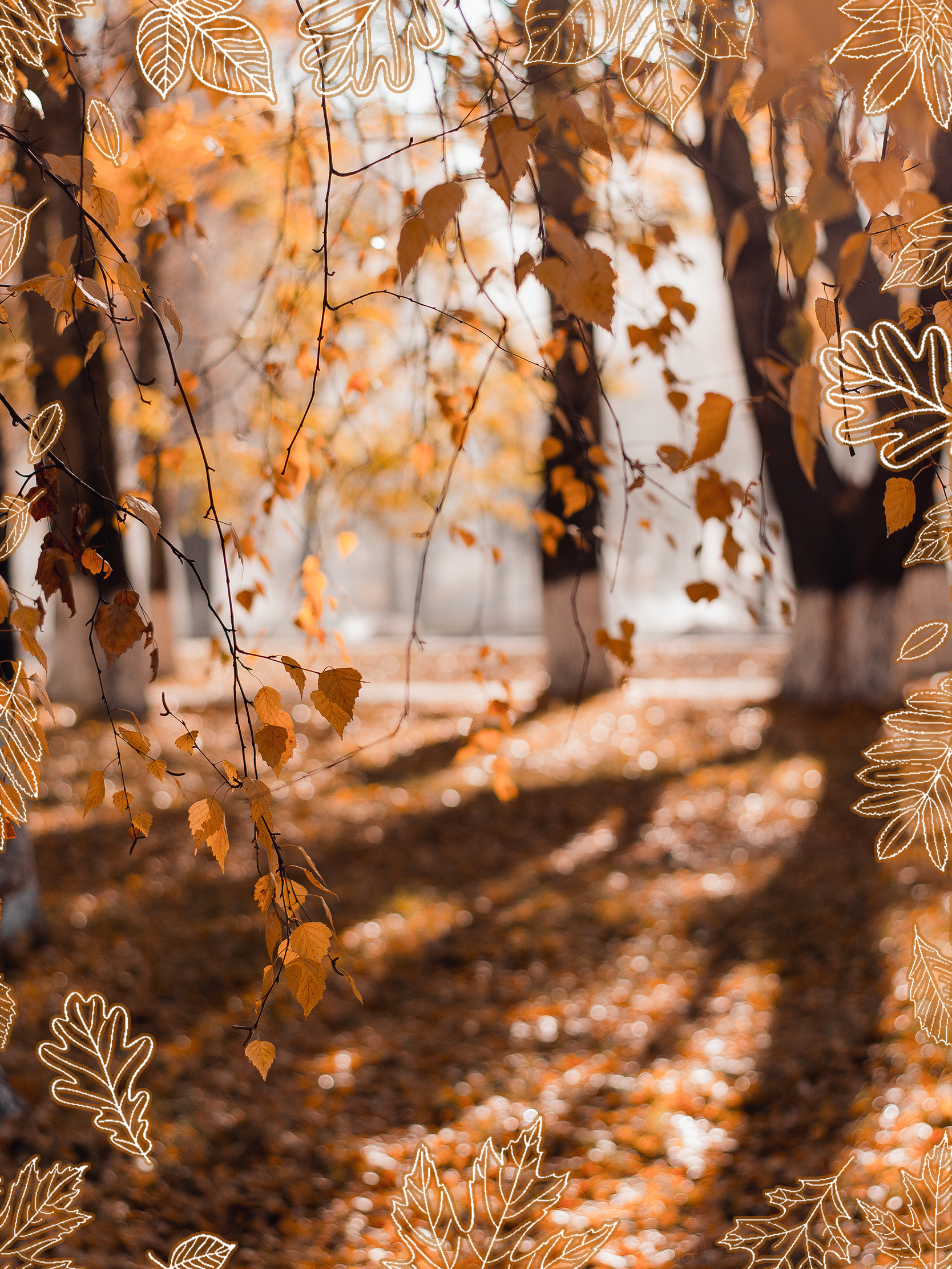 Fall Desktop & IPad Wallpaper - Hello Shouho