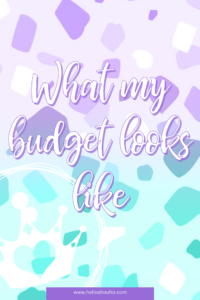 What-my-budget-looks-like