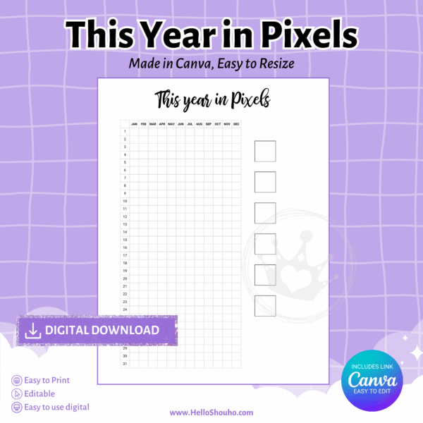 This Year in Pixels Insert